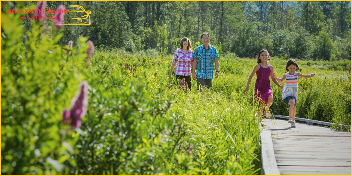 Bình Minh & The Lotus Hồ Tràm