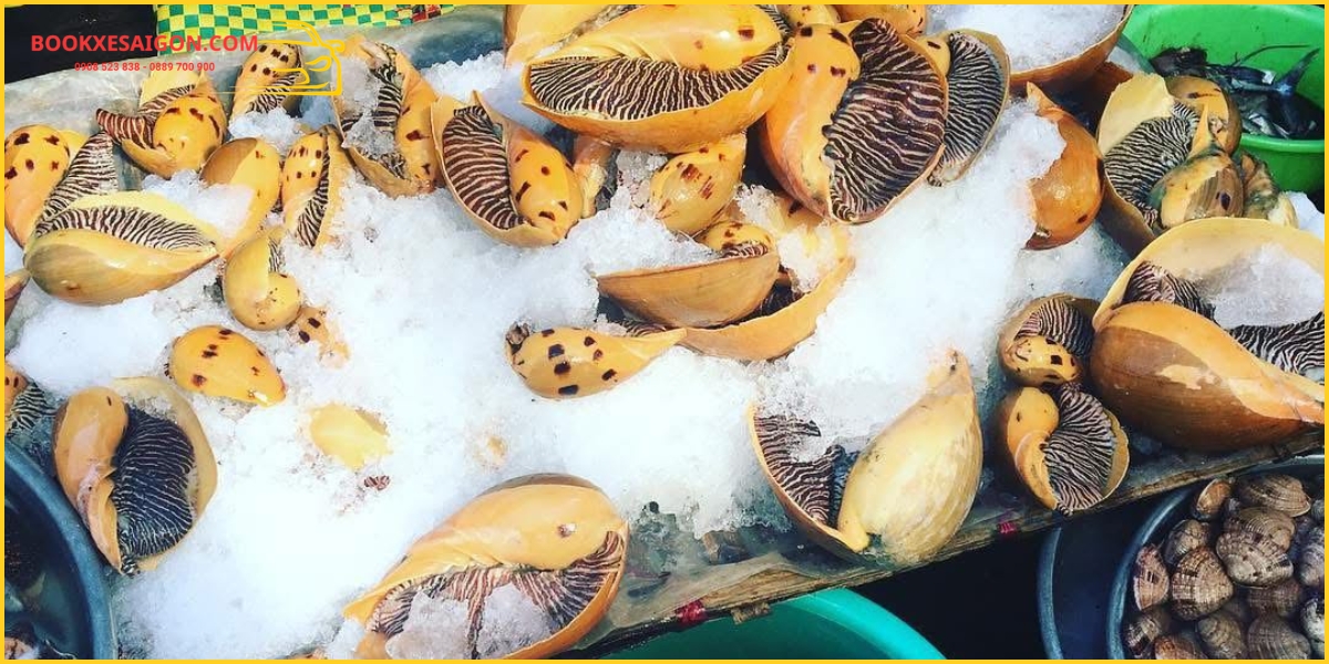 Lưu ý khi săn hải sản trực tiếp tại Phan Thiết