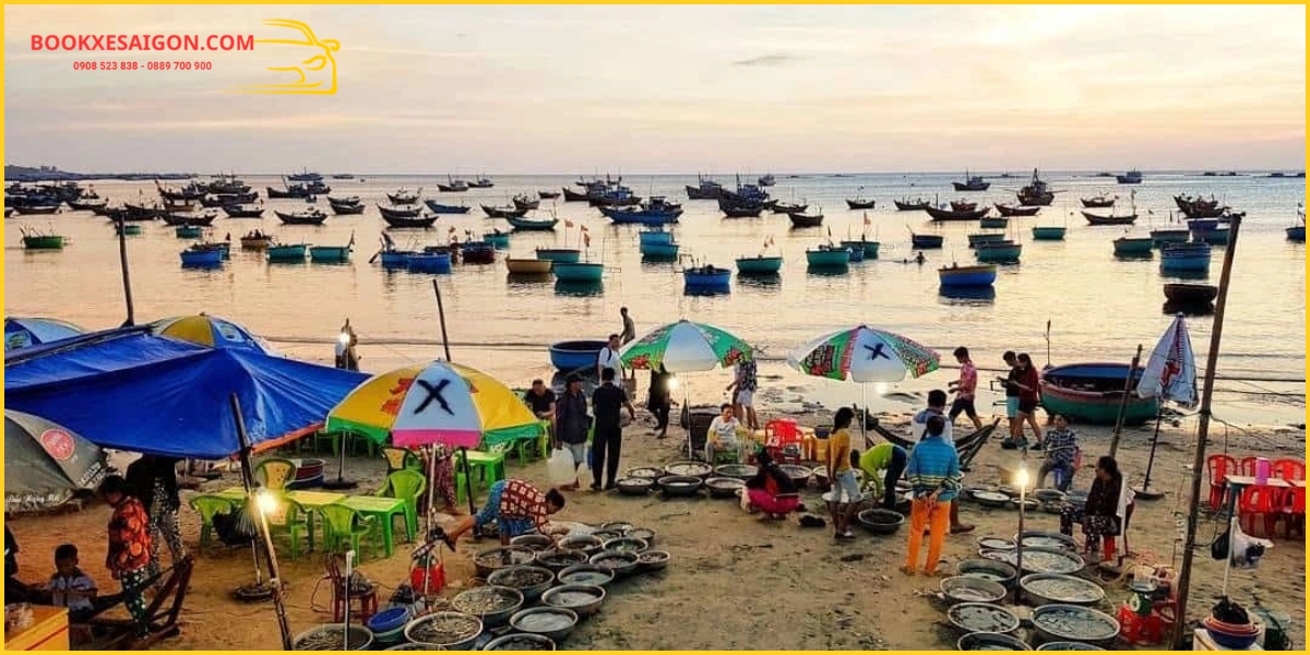 Tổng quan hoạt động mua hải sản từ ngư dân Phan Thiết